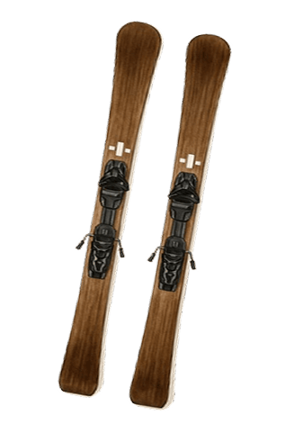Ski